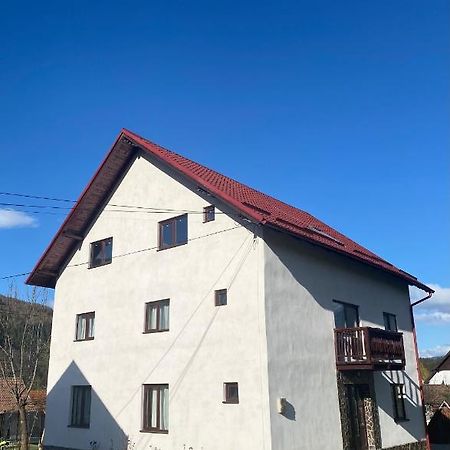 Hostal Casa Oana Ioana Moieciu de Jos Exterior foto