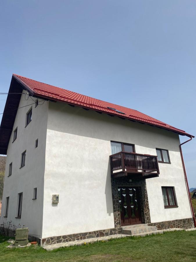 Hostal Casa Oana Ioana Moieciu de Jos Exterior foto
