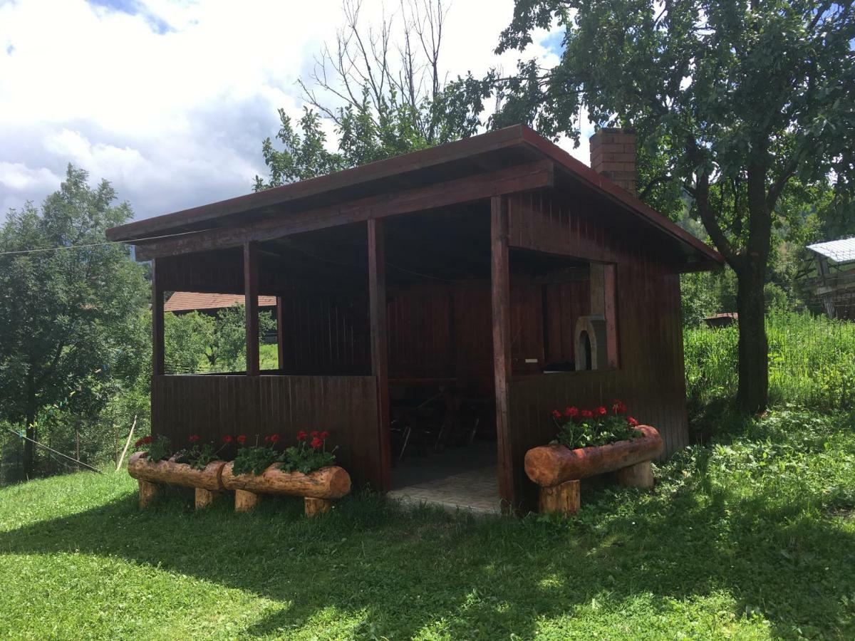 Hostal Casa Oana Ioana Moieciu de Jos Exterior foto